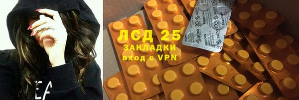 прущие грибы Абаза