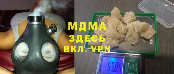 прущие грибы Абаза