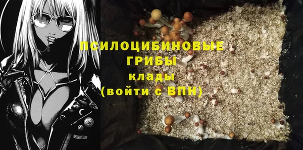 прущие грибы Абаза