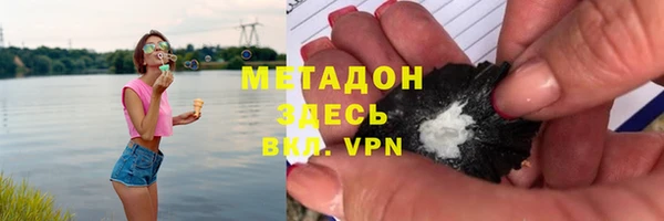 прущие грибы Абаза