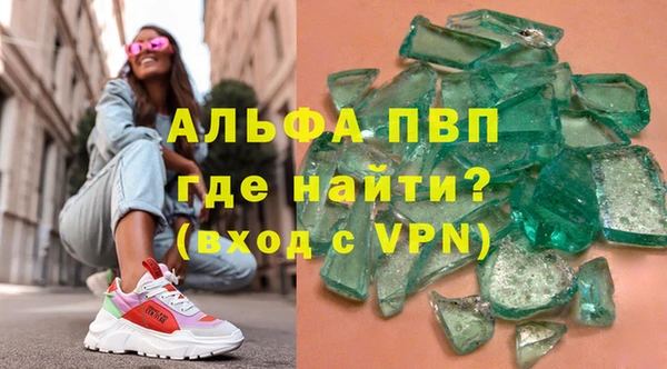 прущие грибы Абаза