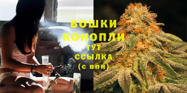 прущие грибы Абаза