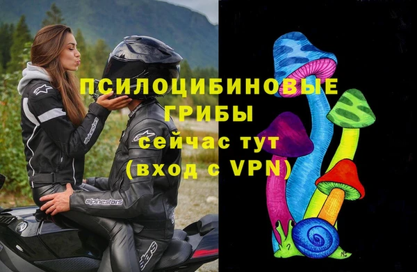 мяу мяу мука Абинск