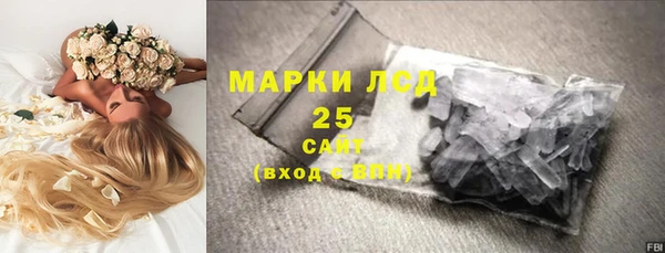 прущие грибы Абаза