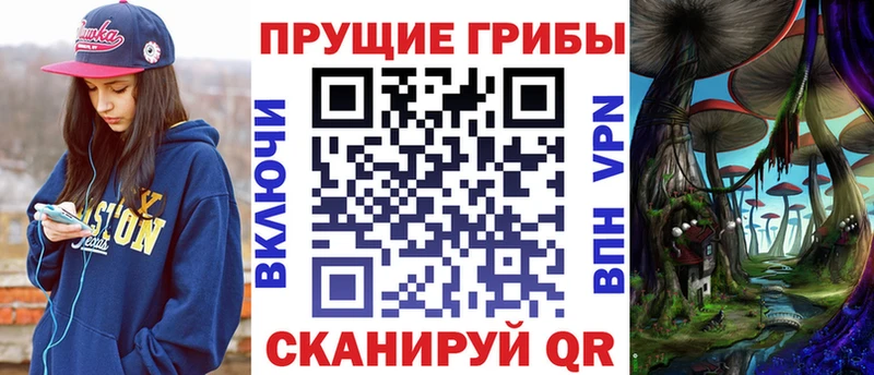 наркошоп  Каменногорск  Галлюциногенные грибы GOLDEN TEACHER 